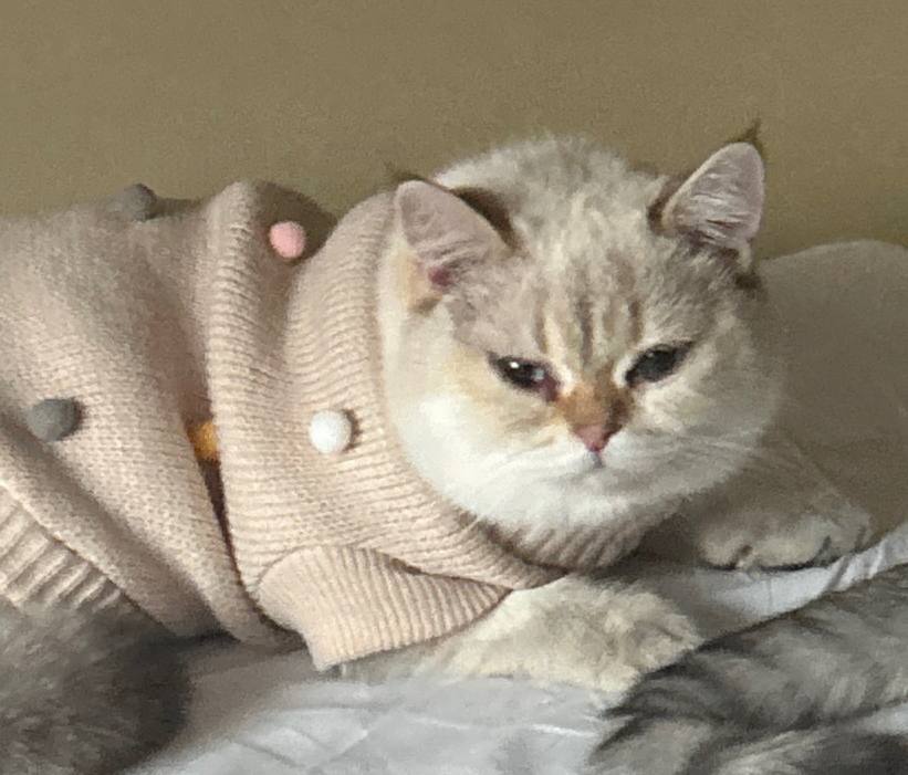 Кокосик в одеяле
